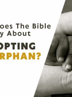 What Does The Bible Say About Adopting An Orphan