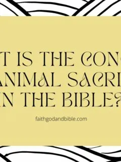 What is the concept of animal sacrifice in the Bible?