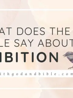 What Does The Bible Say About Ambition