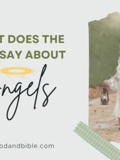 What Does The Bible Say About Angels