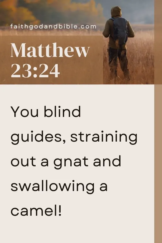 Matthew 23:24, “You blind guides, straining out a gnat and swallowing a camel