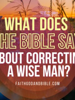 What Does The Bible Say About Correcting A Wise Man?