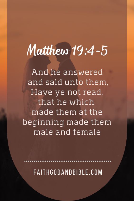 And he answered and said unto them, Have ye not read, that he which made them at the beginning made them male and female,Matthew 19:4-5
