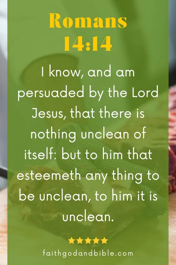 I know, and am persuaded by the Lord Jesus, that there is nothing unclean of itself: but to him that esteemeth any thing to be unclean, to him it is unclean. Romans 14:14