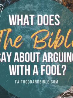 What Does The Bible Say About Arguing With A Fool?