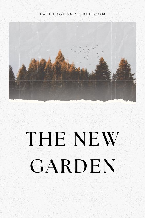 The New Garden