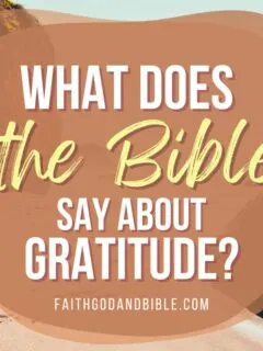 What Does the Bible Say About Gratitude?