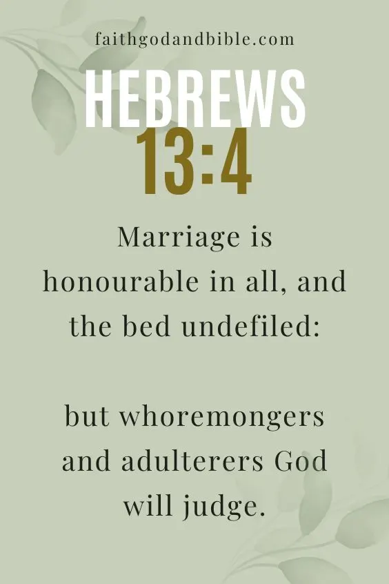 Hebrews 13:4 Marriage is honourable in all, and the bed undefiled: but whoremongers and adulterers God will judge.