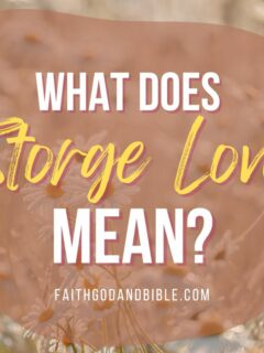 What Does Storge Love Mean?