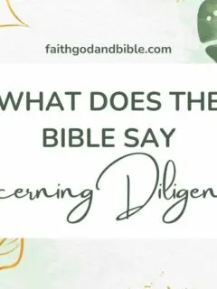What Does the Bible Say Concerning Diligence