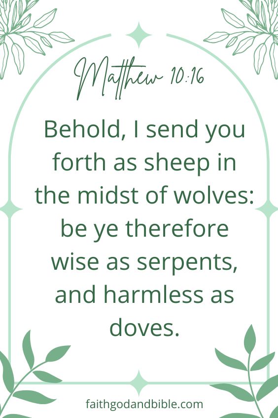 Matthew 10:16 Behold, I send you forth as sheep in the midst of wolves: be ye therefore wise as serpents, and harmless as doves.