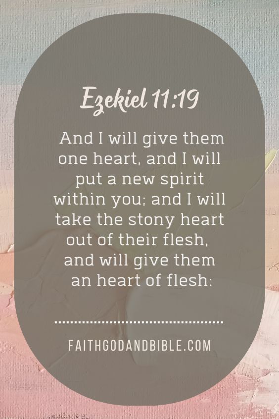 Ezekiel 11:19 And I will give them one heart, and I will put a new spirit within you; and I will take the stony heart out of their flesh, and will give them an heart of flesh: