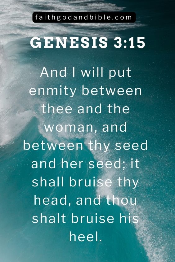 Genesis 3:15 And I will put enmity between thee and the woman, and between thy seed and her seed; it shall bruise thy head, and thou shalt bruise his heel.