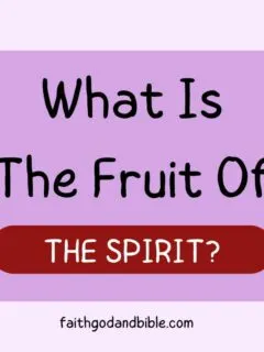 What Is The Fruit Of The Spirit?