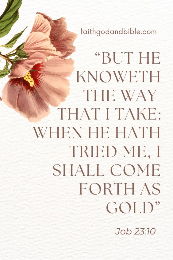Job 23:10  But he knoweth the way that I take: when he hath tried me, I shall come forth as gold.