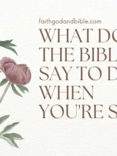 What Does The Bible Say To Do When You're Sick?