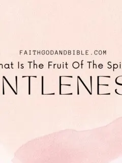 What Is The Fruit Of The Spirit, Gentleness?