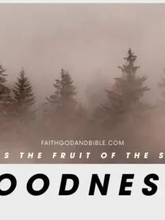 What Is The Fruit Of The Spirit, Goodness?