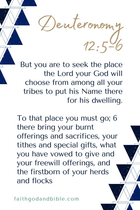  But you are to seek the place the Lord your God will choose from among all your tribes to put his Name there for his dwelling. To that place you must go; 6 there bring your burnt offerings and sacrifices, your tithes and special gifts, what you have vowed to give and your freewill offerings, and the firstborn of your herds and flocks.